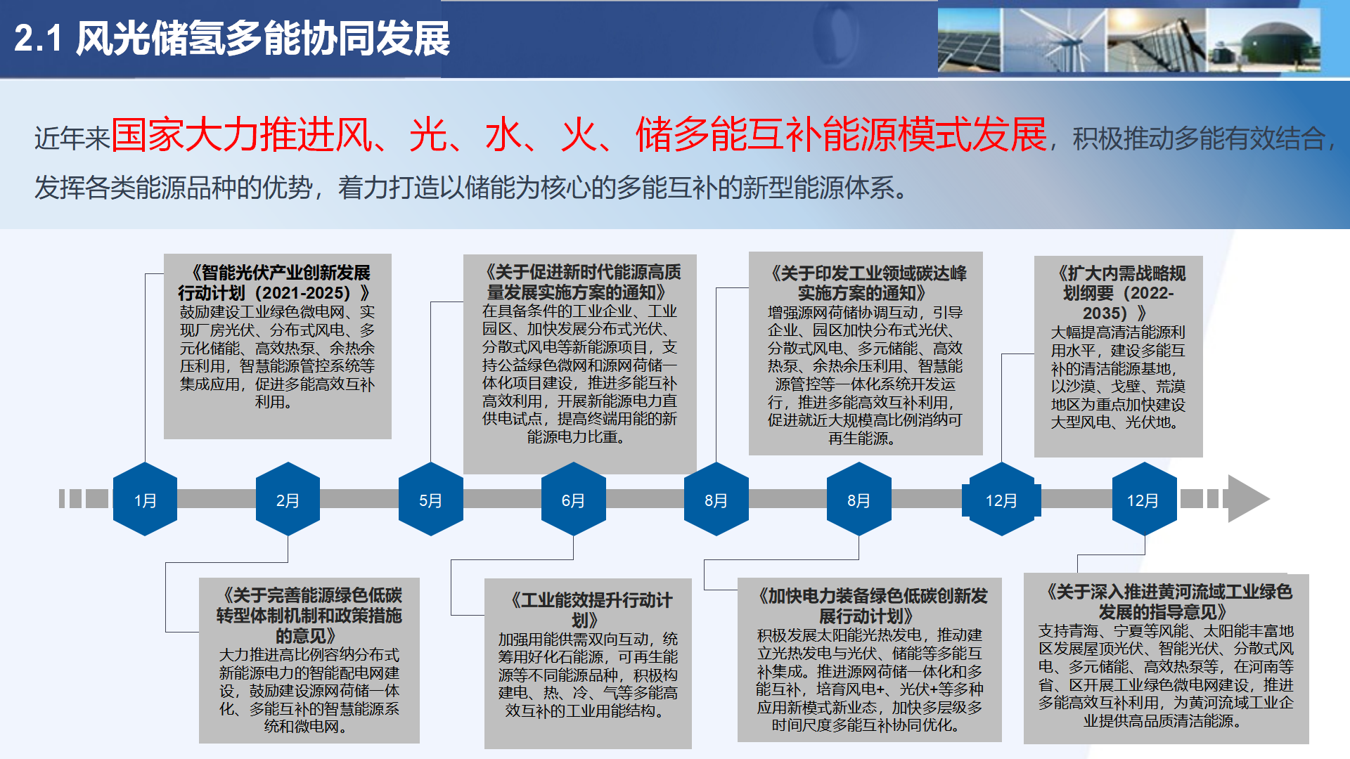 03中国新能源进展与展望-曾少军250317_13.png 
